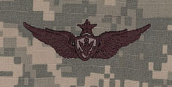 Aircraft Crewman Senior Badge ACU Sew On