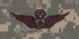 Aircraft Crewman Master Badge ACU Sew On