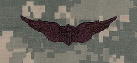 Aviator Basic ACU Sew On Badge