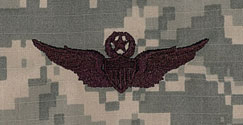 Aviator Master ACU Sew On Badge