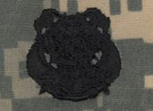 Diver First Class ACU Sew On Badge