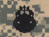 Diver Master ACU Sew On Badge