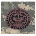 Drill Sergeant ACU Sew On Badge