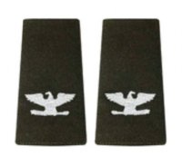 AGSU Epaulets O6 Colonel