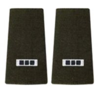 AGSU Epaulets CW3 Epaulets
