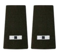 AGSU Epaulets WO1 Epaulets