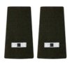 AGSU Epaulets WO1 Epaulets