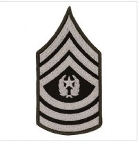 AGSU CHEVRONS COMMAND SERGEANT MAJOR LARGE