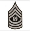 AGSU CHEVRONS COMMAND SERGEANT MAJOR LARGE