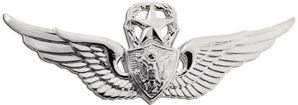 Aircraft Crewman Master Badge