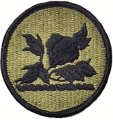 Alabama National Guard OCP Scorpion Shoulder Patch
