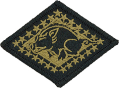 Arkansas National Guard OCP Scorpion Shoulder Patch