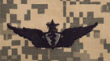 Flight Surgeon ACU Senior Badge Sew On