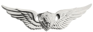 Aircraft Crewman Basic Badge