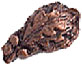 Oak Leaf Cluster Bronze 1 Single Oak Leaf