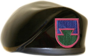 Air Force TACP Black Ceramic Beret With Flash And Crest