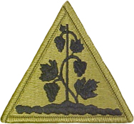 Connecticut State Area Command OCP Scorpion Shoulder Patch