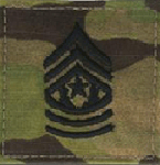 E-9 Command Sergeant Major SGM OCP Scorpion Insignia With Velcro