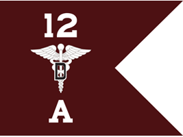 Dental Command Guidon