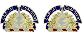District of Columbia National Guard Unit Crest