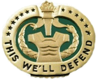 Drill Instructor Badge