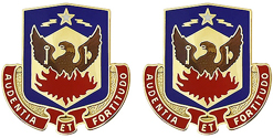 STB 173rd Airborne Brigade Team Unit Crest