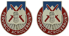 STB 10th Mountain Division