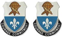 STB 82nd Airborne Division Unit Crest