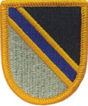 Special Warfare Education Beret Flash