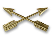 Special Forces Branch Officer Crest