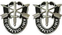 Special Forces Unit Crest