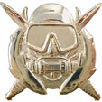Diver Special Operations Badge