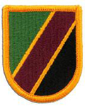 Special Operations Support Command Beret Flash