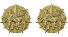Multi National Force Iraq Unit Crest