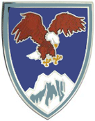 USAE Combined Forces Afghanistan CSIB