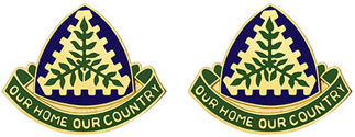Virgin Island National Guard Unit Crest